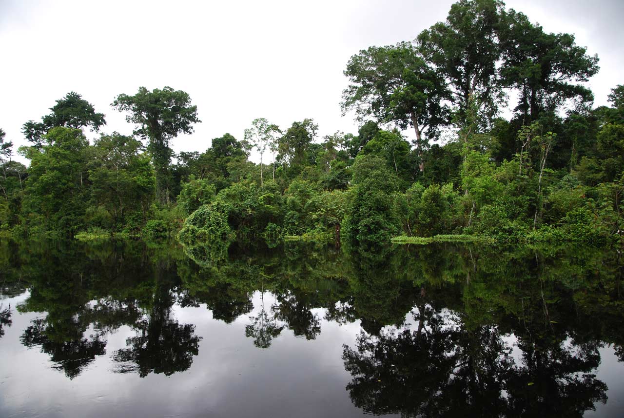 Amazonas - Quer durch den Urwald - atambo.de