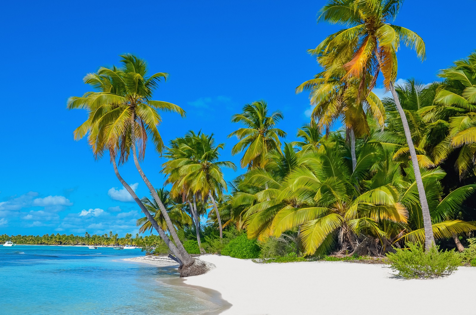 Guadeloupe Urlaub