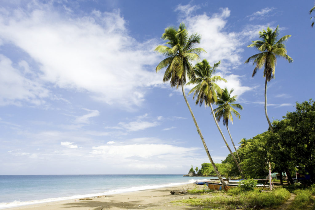 Ein Strand mit großen Palmen und alten Fischerbooten