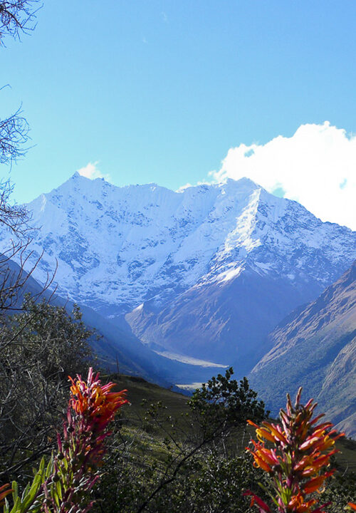 Inka Trail Machu Picchu - atambo.de