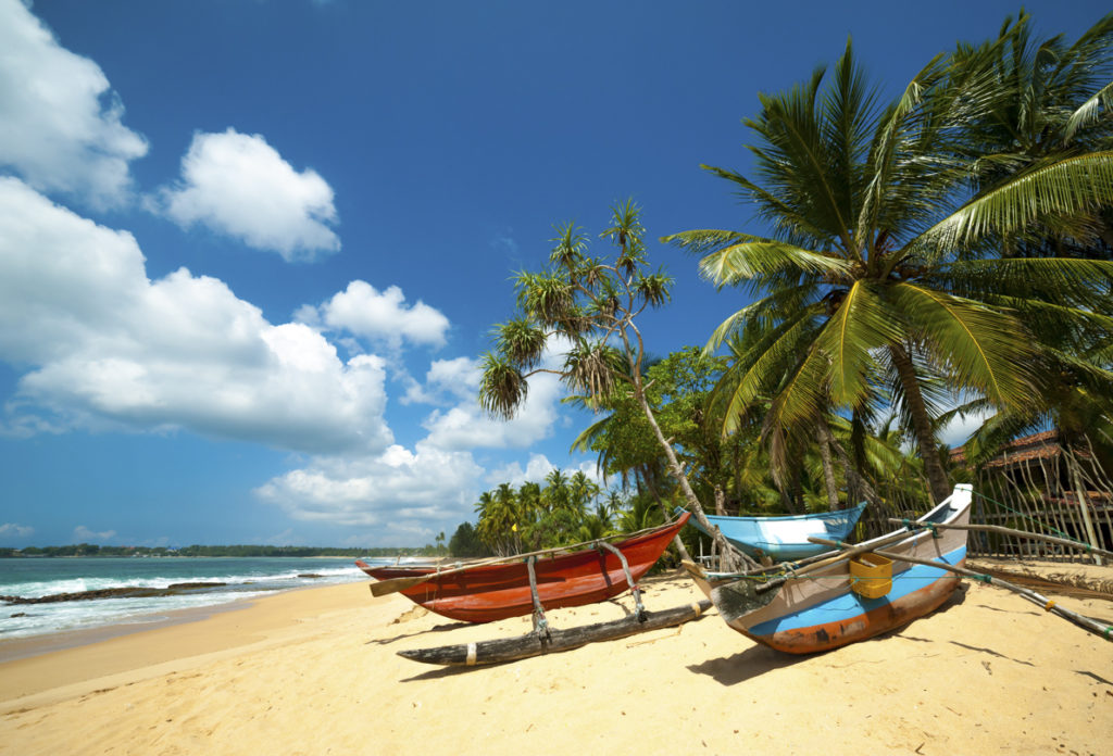 Ein tropischer Strand mit Palmen und Fischerbooten