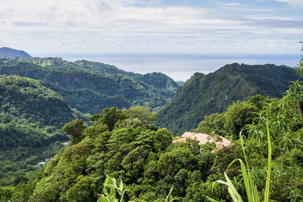 Dominica Urlaub Wald