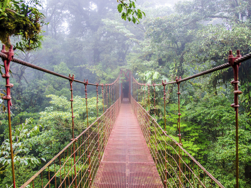 Costa Rica Mietwagenrundreise Monteverde Regenwaldbrücke