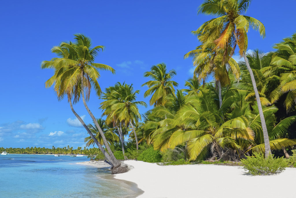Karibik-Inselhüpfen Strand mit Palmen