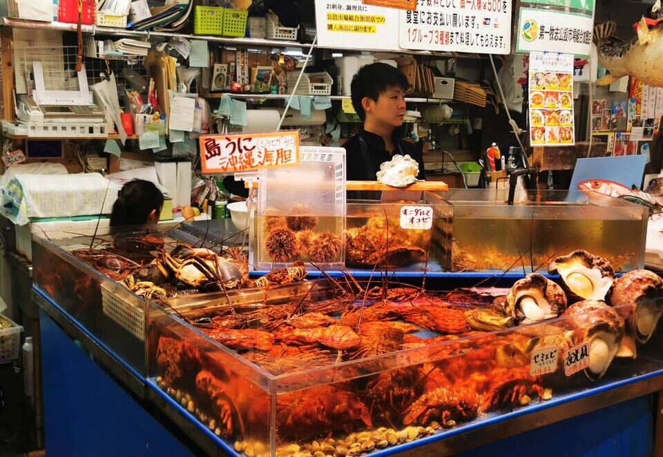 Leben in Japan: Fischmarkt