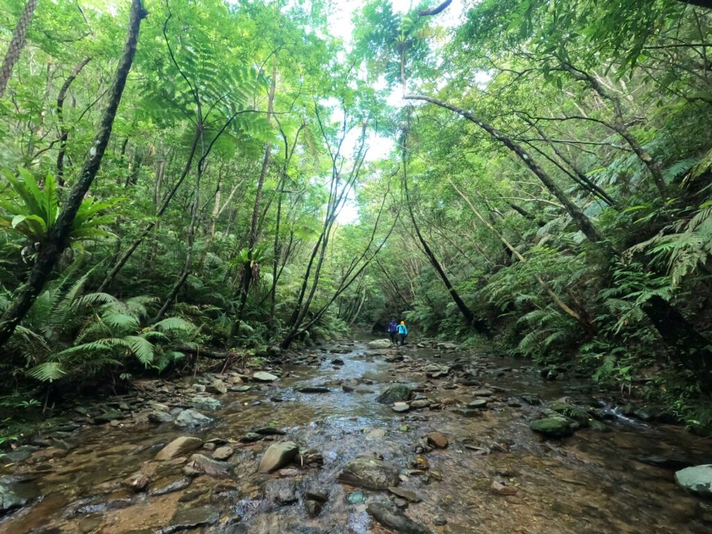 Flusswandern Okinawa