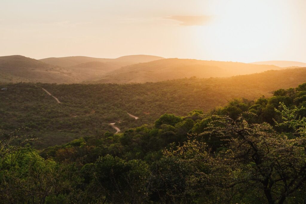 Baden in Südafrika rhino ridge view