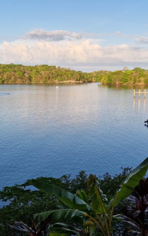 header panama 2