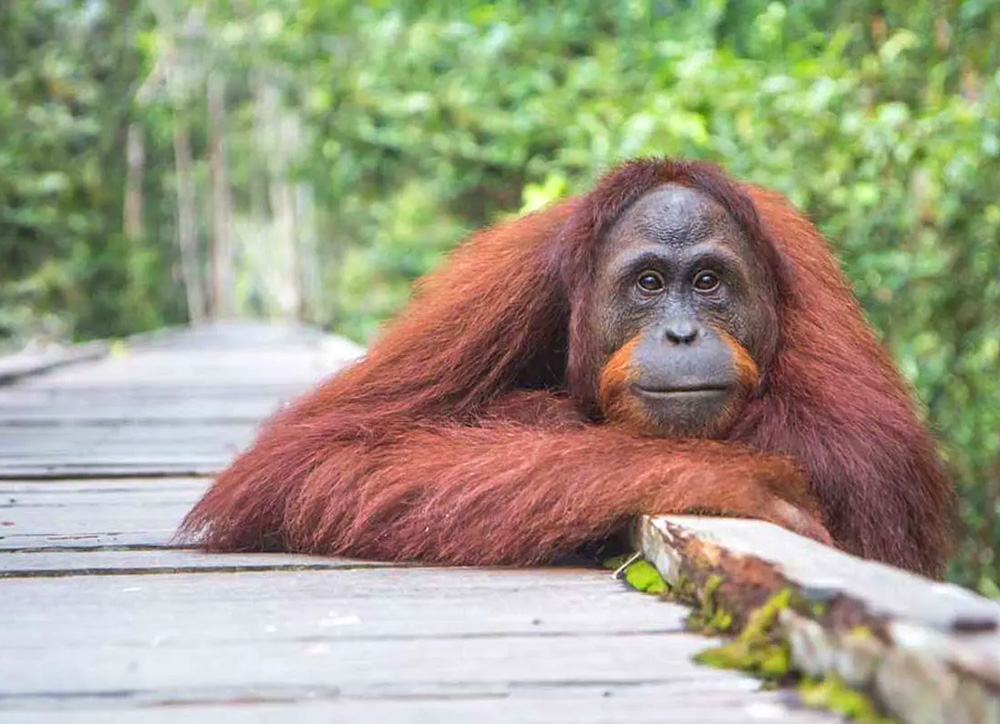 AdobeStock_130414707beitragsbild