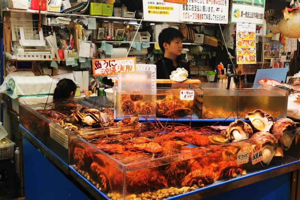 Leben in Japan: Fischmarkt