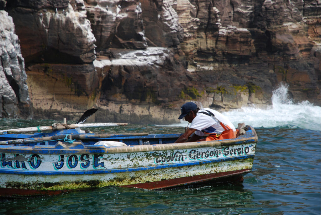 Paracas-Fischer