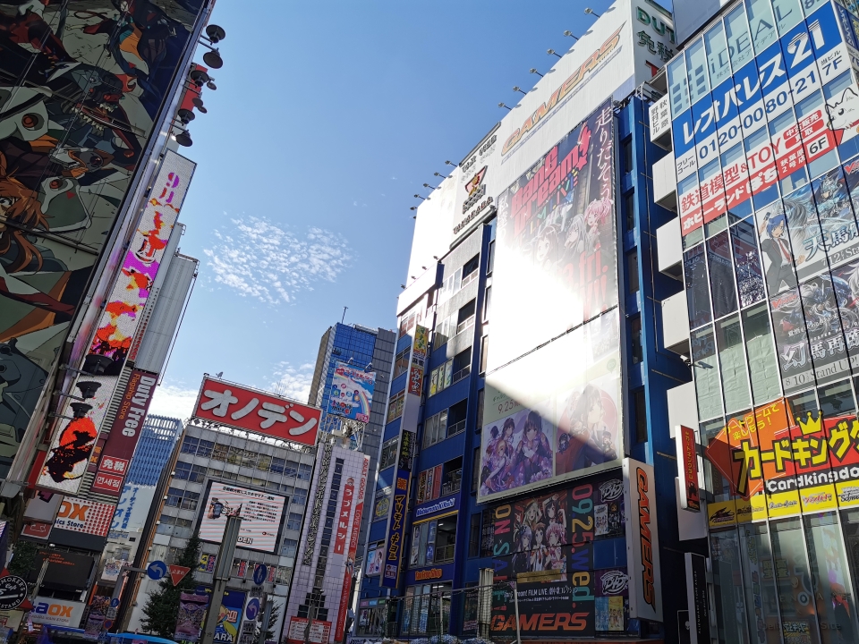 Japanreise mit Kindern Stadtbild Tokio Akihabara